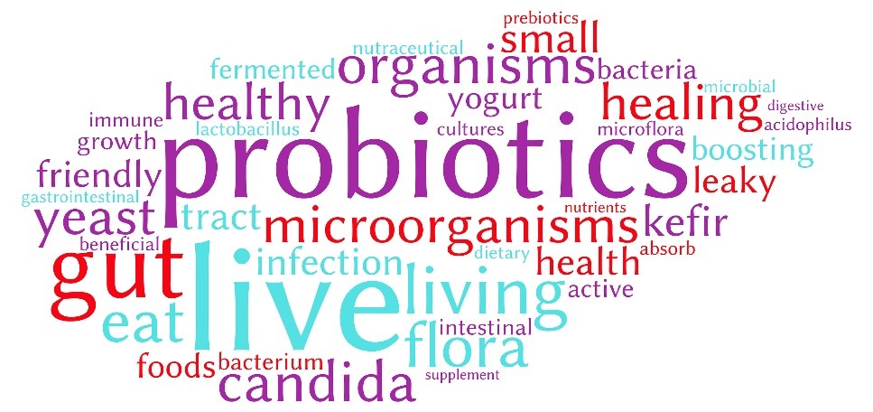 The Benefits of Prebiotics and Probiotics and the Truth About Wine